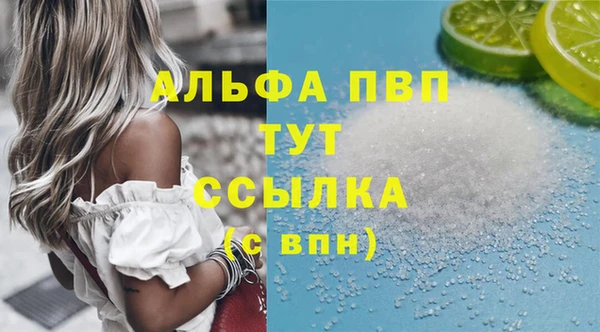 скорость Вяземский