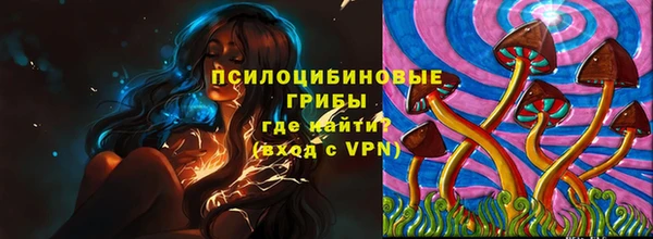 мдпв Волосово