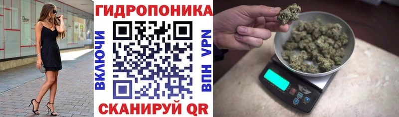 Бошки марихуана Ganja Купить где Судогда